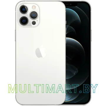 Смартфон Apple iPhone 12 Pro Max 256GB (серебристый)